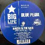Blue Pearl  Naked In The Rain (Remix)  (12", Single)