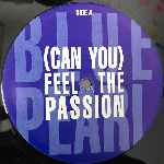 Blue Pearl  (Can You) Feel The Passion  (12", Single)