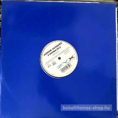 Junior Vasquez - If Madonna Calls  (12") (vinyl) bakelit lemez