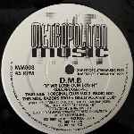 D.M.B  If We Lose Our Lovin  (12")