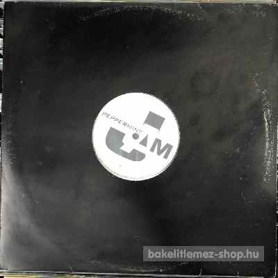 Charles Schillings - Spin It Right!  (12") (vinyl) bakelit lemez
