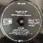 Divine  Shake It Up (Special Long Version)  (12", Maxi)