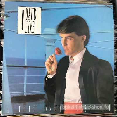 David Lyme - I Dont Wanna Lose You  (12", Maxi) (vinyl) bakelit lemez