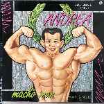 Andrea - Macho Man