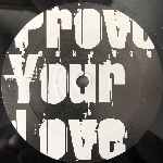 Groovestylerz  Prove Your Love  (12")