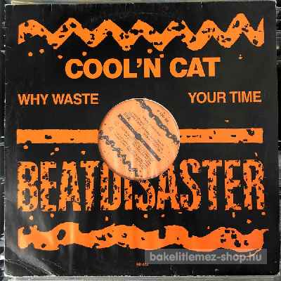 Cooln Cat - Why Waste Your Time  (12", Maxi) (vinyl) bakelit lemez