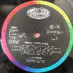 Tina Turner  Break Every Rule  (LP, Album)