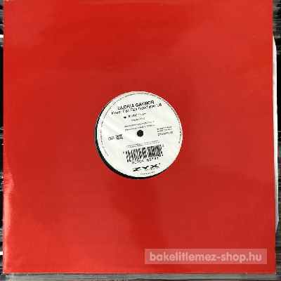 Gloria Gaynor - Never Can Say Good Bye 98  (12", Promo) (vinyl) bakelit lemez