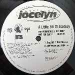 Jocelyn Enriquez  A Little Bit Of Ecstasy  (12", Promo)