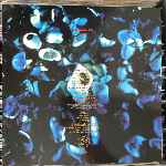 Erasure  Ship Of Fools  (12", Maxi)