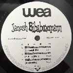 Janosh  Bibabuzemann  (12")