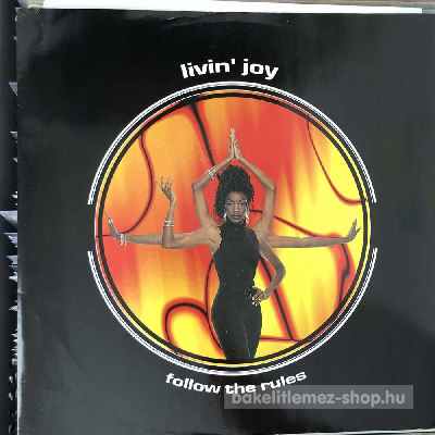 Livin Joy - Follow The Rules  (12") (vinyl) bakelit lemez