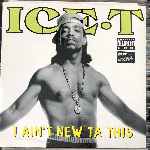 Ice-T - I Aint New Ta This