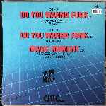 Lian Ross  Do You Wanna Funk (Special Disco Remix)  (12", Maxi)