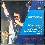 Steve Walsh - I Found Lovin