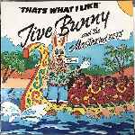 Jive Bunny And The Mastermixers - Thats What I Like