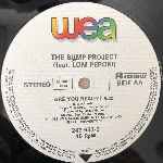 The Bump Project Featuring Loni Peroni  Lady Bump (Remix 88)  (12")