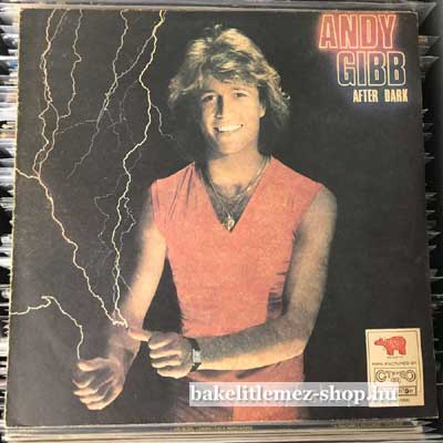 Andy Gibb - After Dark  LP (vinyl) bakelit lemez